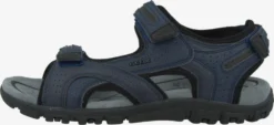 Geox Sandalen & Pantoffels Sandalen Strada Heren Marine 9 Geox Sandalen & Pantoffels Sandalen Strada Heren Marine -Herenschoenen Winkel 1ab4ab262c5606ed53634bcfc45d41f5