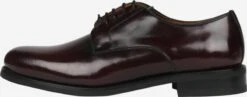 Scalpers Casual Veterschoenen Veterschoen Brook Heren Bordeaux