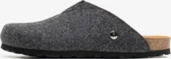 Instappers Muiltjes Fudji Heren Donkergrijs