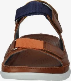 Pikolinos Sandalen & Pantoffels Sandalen Heren Donkerbruin -Herenschoenen Winkel 3fcd2793cd5743f99be02413810e5cff