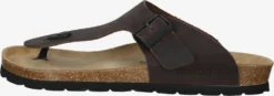 Rohde Slippers Teenslippers Grado Heren Bruin -Herenschoenen Winkel 6a55dbf1ff32ca8a700ccefae768396a
