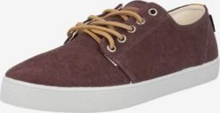 Pompeii Skate Sneakers Sneakers Laag Heren Donkerbruin