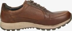 Sportieve Veterschoenen Sportieve Veterschoen Fabirio Heren Bruin -Herenschoenen Winkel 7961a5755cb067cca774dcd788365937
