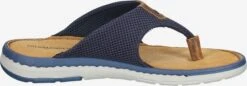 Salamander Slippers Teenslippers Heren Blauw -Herenschoenen Winkel 7b02f243d6f19d5de69072764c80e155