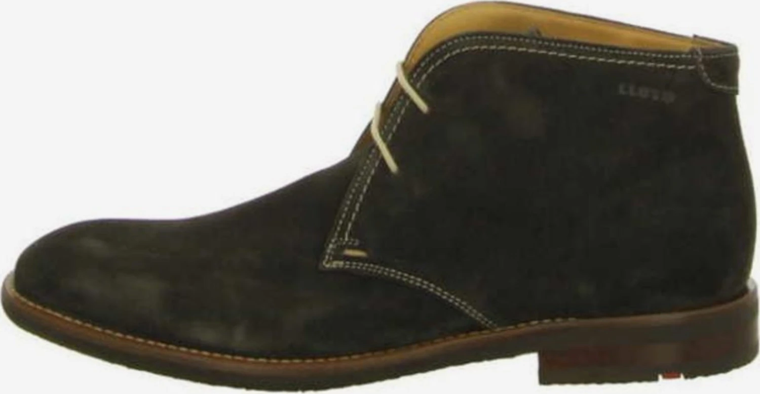 Lloyd Boots & Laarzen Laarzen Heren Bruin 4 Lloyd Boots & Laarzen Laarzen Heren Bruin - Afbeelding 4