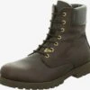Panama Jack Boots & Laarzen Veterboots Igloo Heren Chocoladebruin