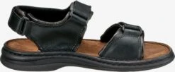 Josef Seibel Sandalen & Pantoffels Sandalen Rafe Heren Zwart -Herenschoenen Winkel 9f663ec2431f9c6895458d1ea882ec9d