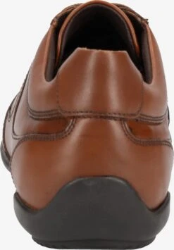 Geox Fashion Sneakers Sneakers Laag Edgeware Heren Bruin -Herenschoenen Winkel a045f7257f5842301075afad55726b7a