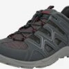 ECCO Casual Veterschoenen Veterschoen Terracruise Heren Grijs / Greige / Donkergrijs